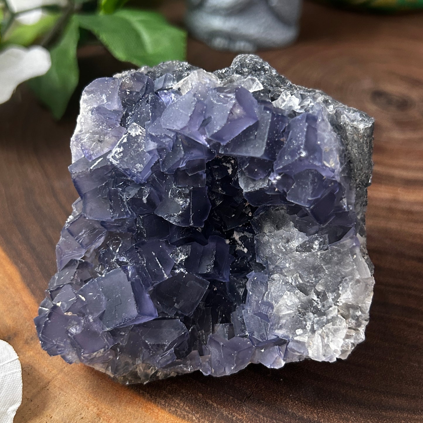 Purple Cubic Fluorite Specimens