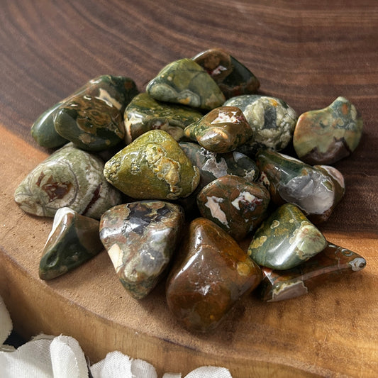 Rhyolite Jasper Tumbled