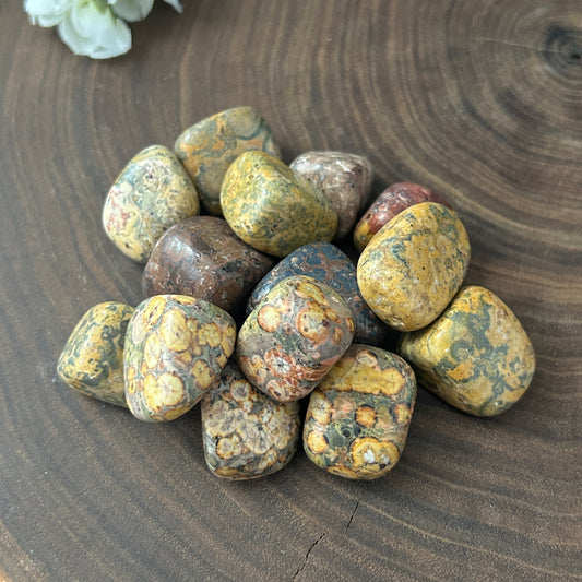 Leopard Skin Jasper Tumbled