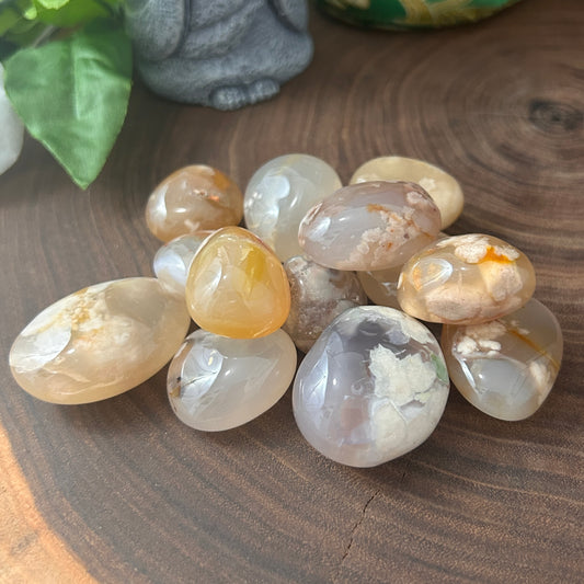 Flower Agate Tumbled