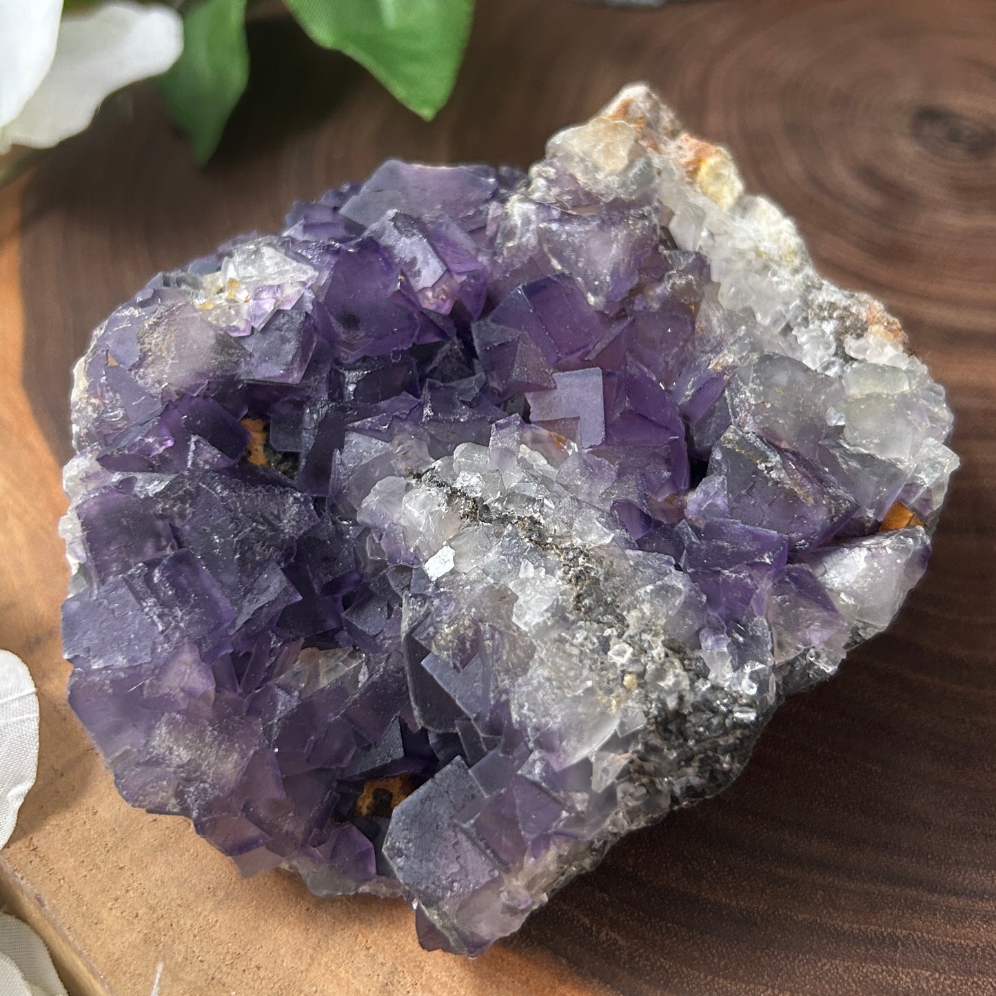 Purple Cubic Fluorite Specimens