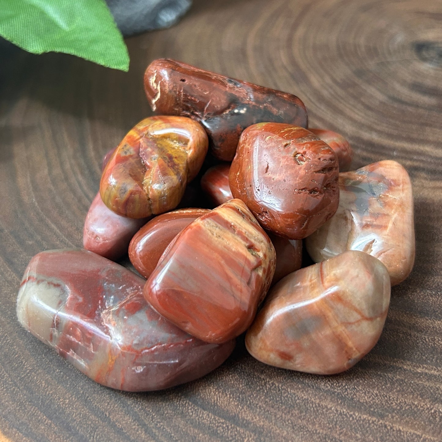 Petrified Wood Tumbled