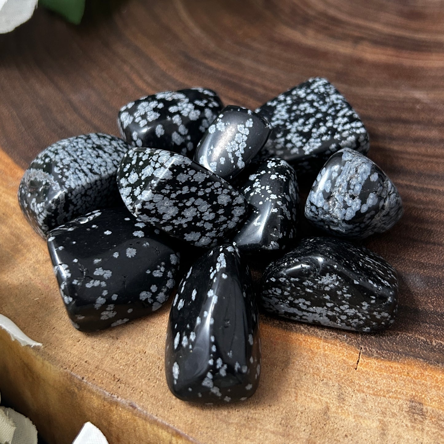 Snowflake Obsidian Tumbled