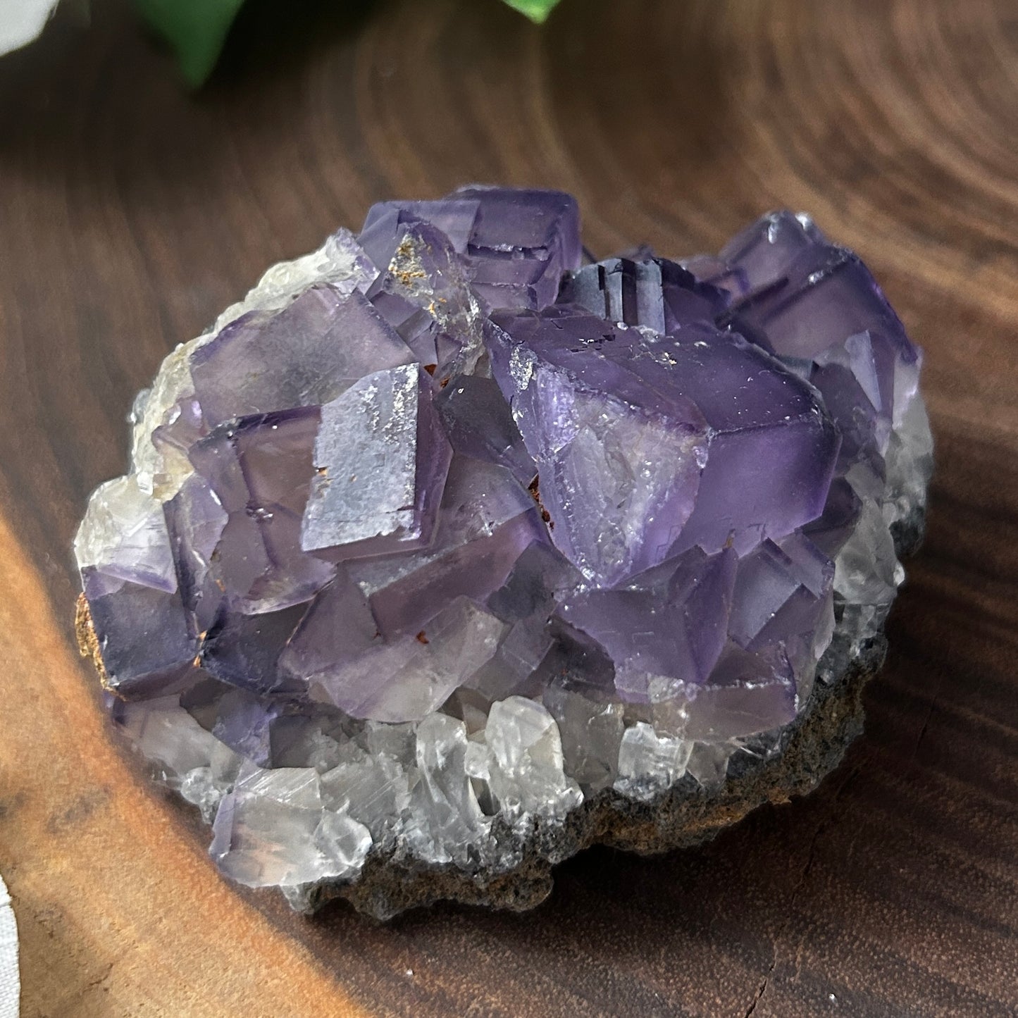 Purple Cubic Fluorite Specimens