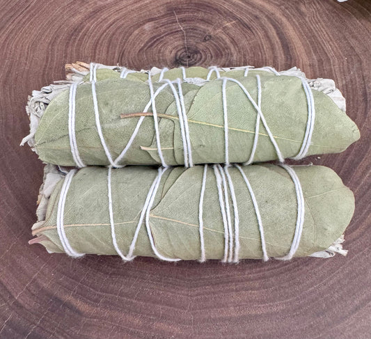 4" White Sage/Eucalyptus Bundle