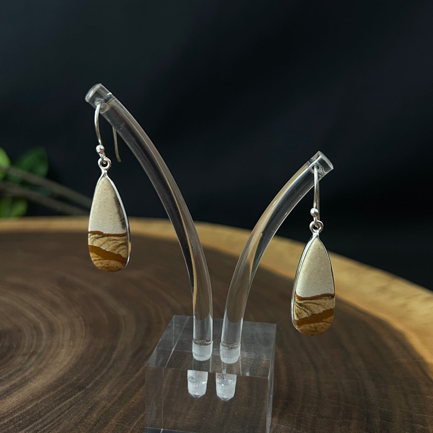 Picture Jasper Drop Earrings