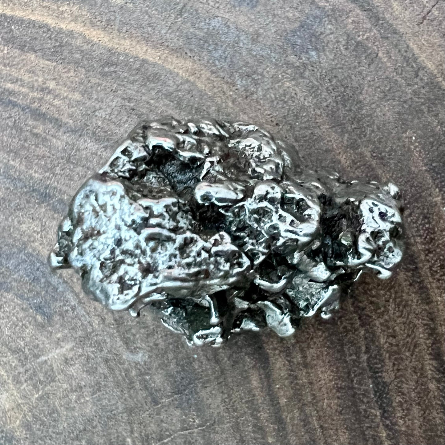 Meteorite Campo Del Cielo Specimen