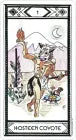 Native American Tarot Card Deck