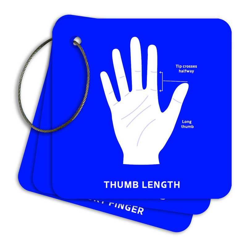 Palmistry Flashcards