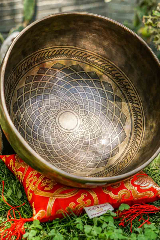 8" Lotus Cosmos Tibetan Singing Bowl - Throat